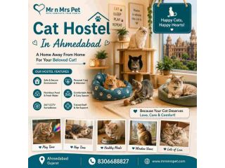 cat-hostel-in-ahmedabad-small-0
