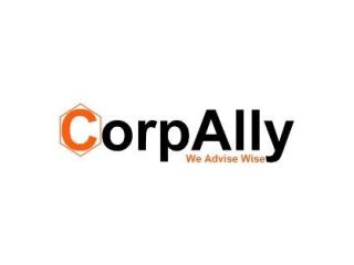 tax-representation-litigation-services-corpally-small-0