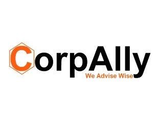 tax-representation-litigation-services-corpally