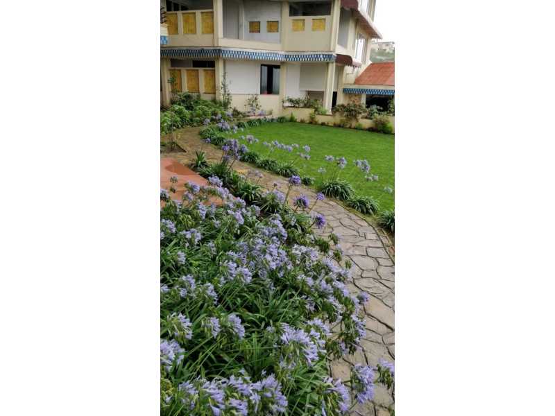 forest-resort-mukteshwar-small-0