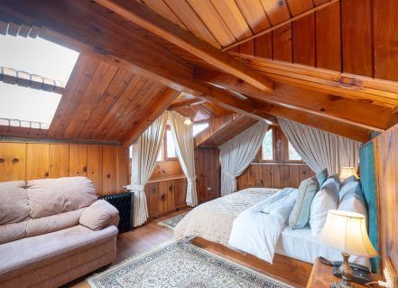 luxury-hotels-in-kullu-manali-offering-premium-comfort-views-big-0