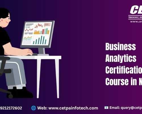 business-analytics-certification-course-in-noida