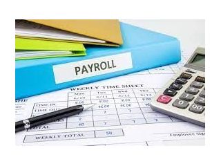 school-payroll-management-system-jaipur-small-0