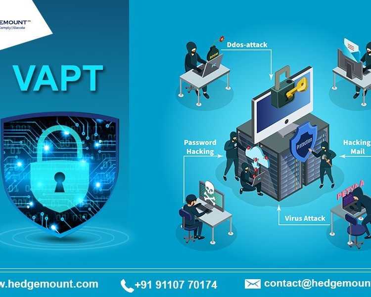 cybersecurity-hedge-mount-vapt-pune