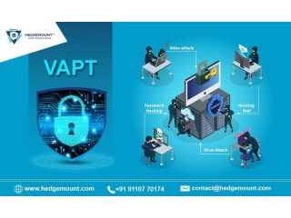 cybersecurity-hedge-mount-vapt-pune-small-0