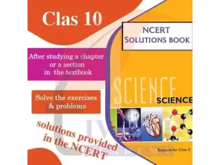 best-ncert-solutions-for-class-10-maths-for-cbse-students-small-0