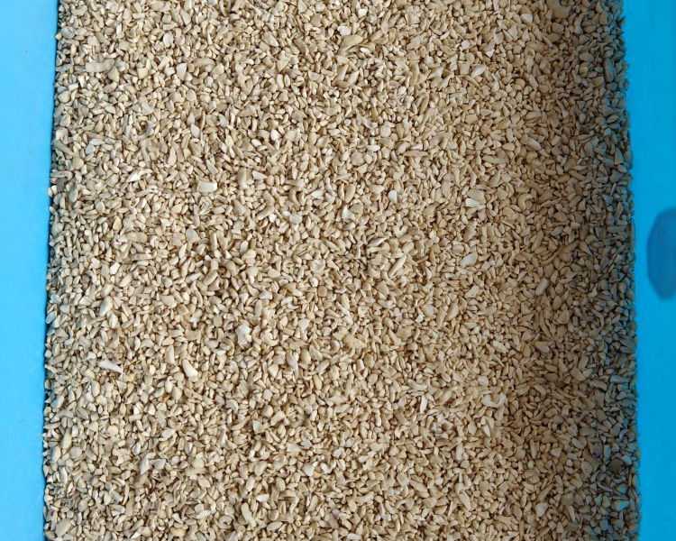 ludhiana-bb-cashews-wholesaler-in-punjab-7550251115