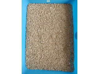 ludhiana-bb-cashews-wholesaler-in-punjab-7550251115-small-0