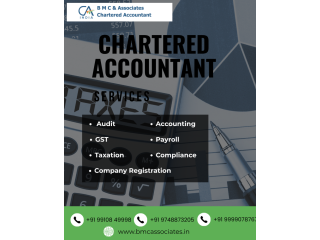 chartered-accountant-gurgaon-experts-for-business-growth-small-0