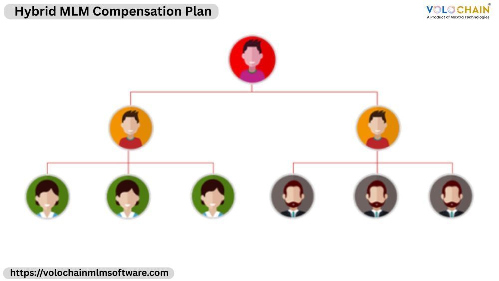 succeed-with-the-help-of-hybrid-mlm-compensation-plan-services-big-0
