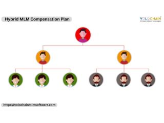 succeed-with-the-help-of-hybrid-mlm-compensation-plan-services-small-0