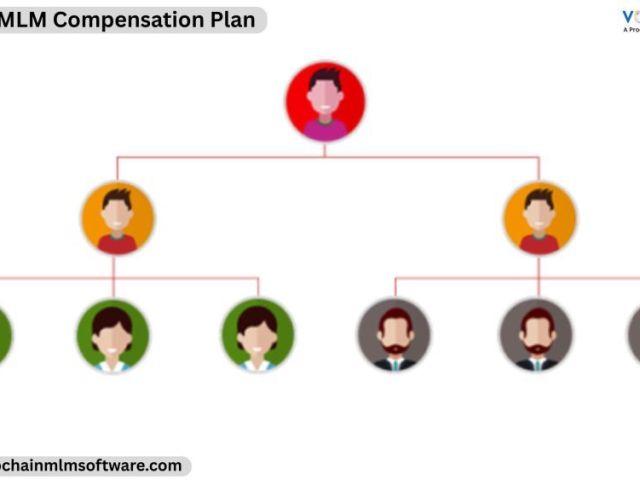 succeed-with-the-help-of-hybrid-mlm-compensation-plan-services