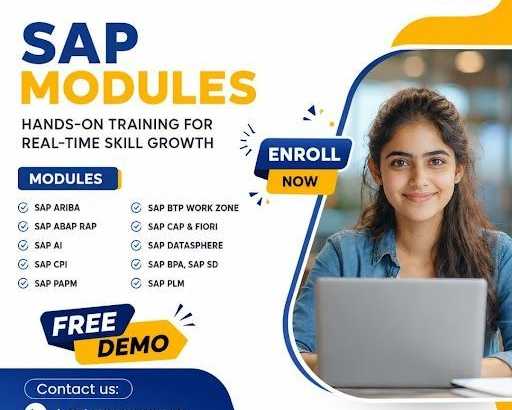 sap-training-programs-for-future-it-leaders-at-visualpath