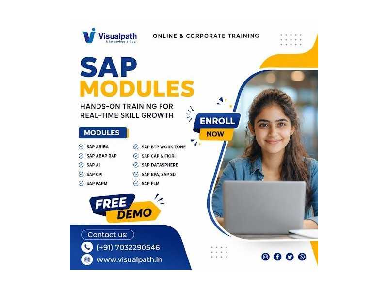 sap-training-programs-for-future-it-leaders-at-visualpath-small-0
