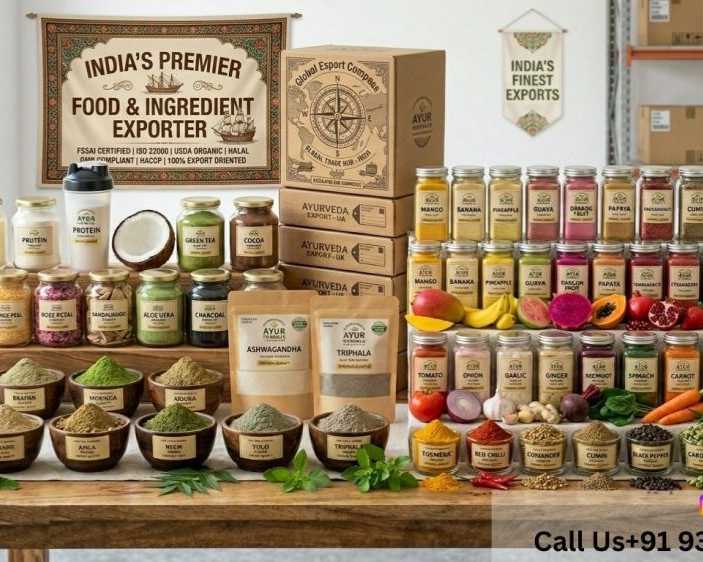 best-powder-exporter-in-india-for-global-b2b-buyers