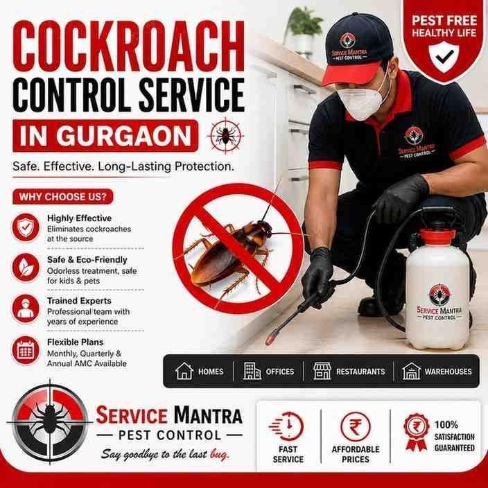 cockroach-control-service-in-gurgaon-safe-effective-big-0