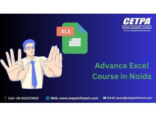 dominate-the-data-game-advance-excel-course-in-noida-small-0