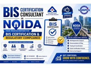 bis-certifications-consultant-service-in-noida-small-0