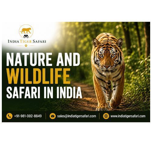 nature-and-wildlife-safari-in-india-big-0