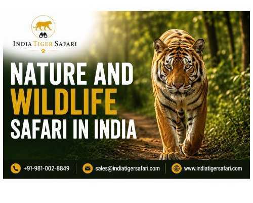 nature-and-wildlife-safari-in-india