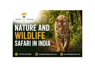 nature-and-wildlife-safari-in-india-small-0