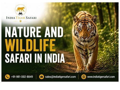 nature-and-wildlife-safari-in-india
