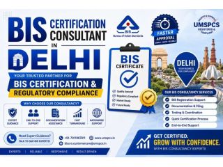 bis-consultants-services-in-delhi-small-0