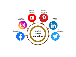 affordable-social-media-marketing-solutions-for-modern-businesses-small-0