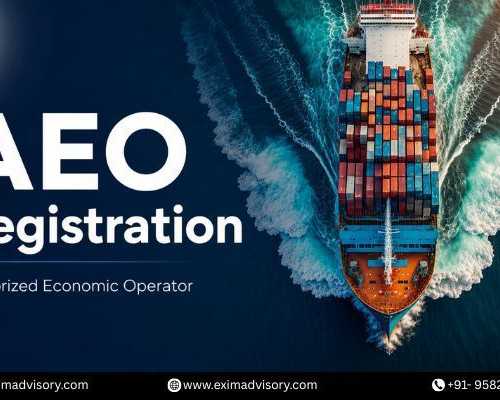 aeo-registration-assistance-exim-advisory