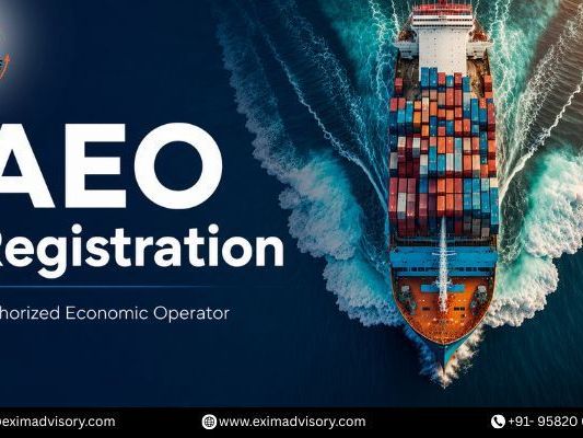 aeo-registration-assistance-exim-advisory