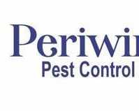best-rodent-control-services-guide-2026-periwinkle