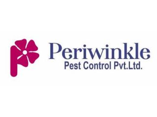 best-rodent-control-services-guide-2026-periwinkle-small-0