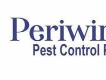best-rodent-control-services-guide-2026-periwinkle