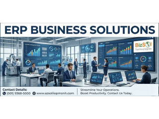 smart-erp-business-solutions-for-manufacturing-companies-bizsol-small-0