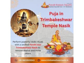 puja-in-trimbakeshwar-nasik-authorized-pandit-near-trimbakeshw-small-0