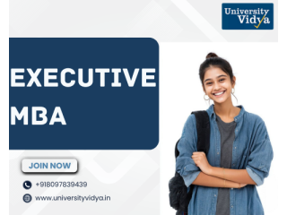 lead-agile-business-transitions-via-an-executive-mba-small-0