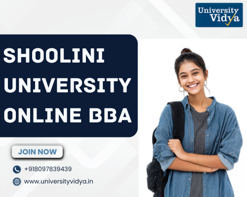 secure-agile-commercial-values-via-shoolini-university-online-bba
