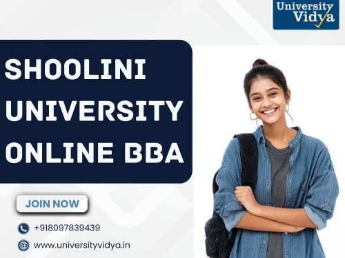 secure-agile-commercial-values-via-shoolini-university-online-bba