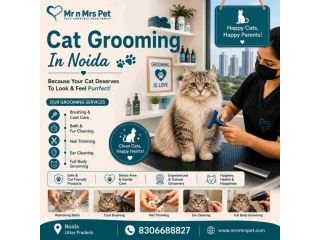cat-grooming-in-noida-small-0