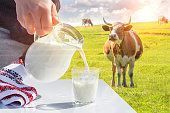 looking-to-buy-a2-milk-online-choose-trusted-quality-from-big-0