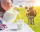 looking-to-buy-a2-milk-online-choose-trusted-quality-from