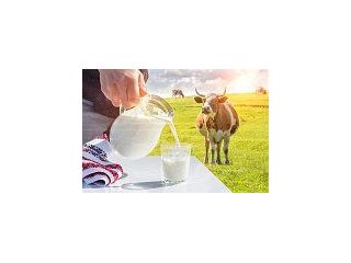 looking-to-buy-a2-milk-online-choose-trusted-quality-from-small-0
