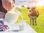 looking-to-buy-a2-milk-online-choose-trusted-quality-from
