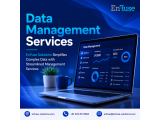 enfuse-simplifies-data-with-streamlined-management-services-small-0