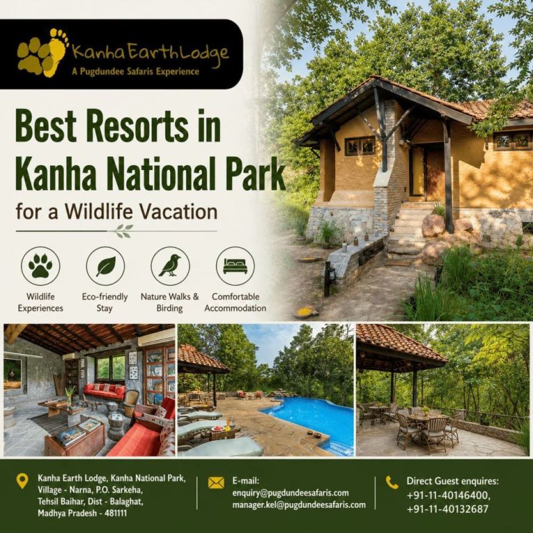 best-resorts-in-kanha-national-park-for-a-wildlife-vacation-big-0