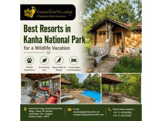 best-resorts-in-kanha-national-park-for-a-wildlife-vacation-small-0