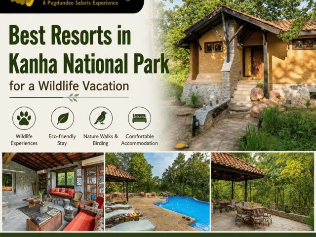 best-resorts-in-kanha-national-park-for-a-wildlife-vacation