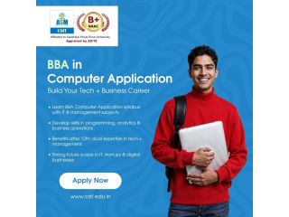 bba-computer-application-course-scope-skills-careers-small-0
