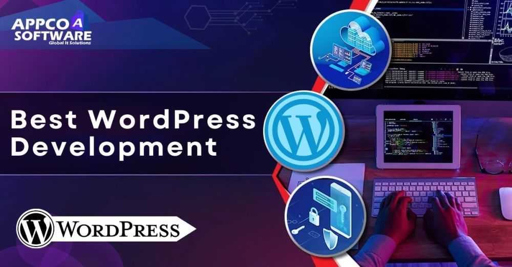 top-rated-wordpress-development-agency-in-india-appco-software-big-0
