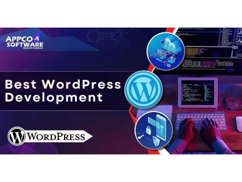 top-rated-wordpress-development-agency-in-india-appco-software-small-0